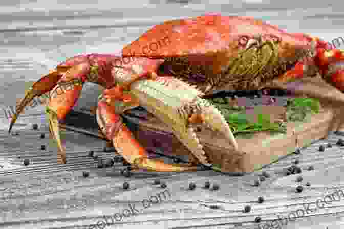 A Close Up Of A Dungeness Crab On A Wooden Table, With Its Claws Outstretched And Its Body Partially Obscured By A Lemon Wedge And Fresh Herbs. An Invitation From A Crab