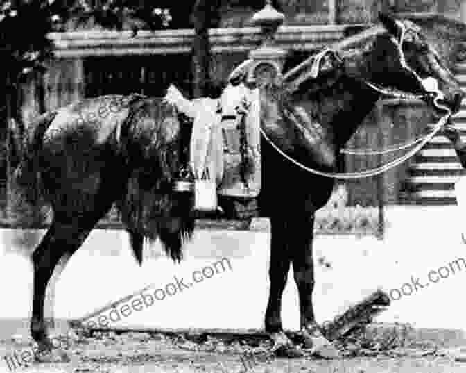 A Young Boy In A Union Army Uniform, Riding A Horse Next To General Sheridan A Boy Trooper With Sheridan