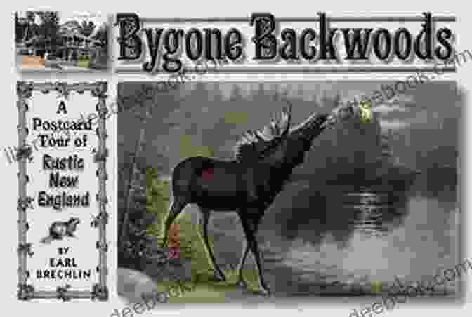 Bygone Backwoods Book Cover Featuring A Dirt Road Leading Into A Dense Forest Bygone Backwoods Lisa Cooper