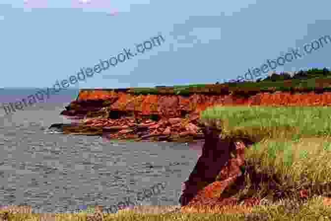 Cavendish Beach, PEI Summer In The Land Of Anne