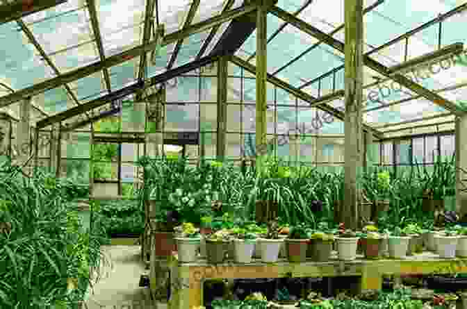 Close Up Of The Living Wall At The Greenhouse, Showcasing A Variety Of Tropical Plants. The Greenhouse Ken Luber