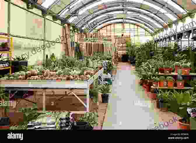 Image Of The Retail Space And Café At The Greenhouse, Offering A Selection Of Plants, Gifts, And Refreshments. The Greenhouse Ken Luber