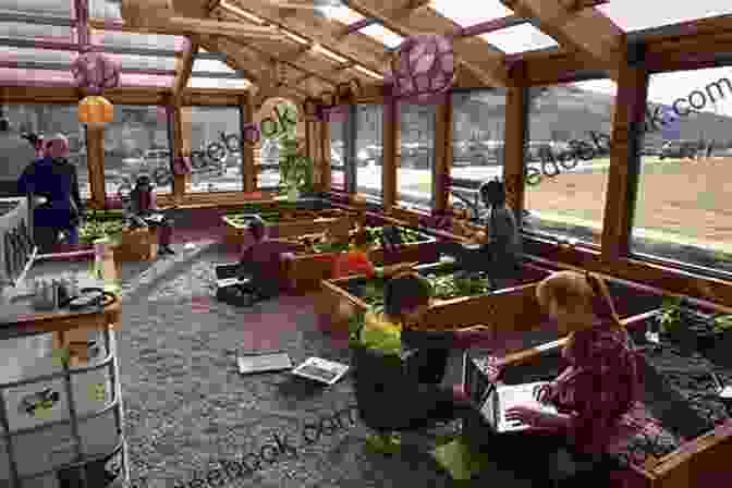 Visitors Reading Educational Displays At The Greenhouse, Providing Information About Plants And Their Uses. The Greenhouse Ken Luber