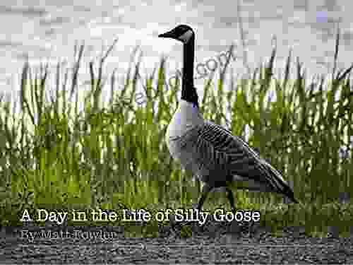 A Day in the life of Silly Goose