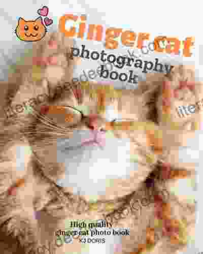 Ginger Cat Photography : High Quality Ginger Cat Photo