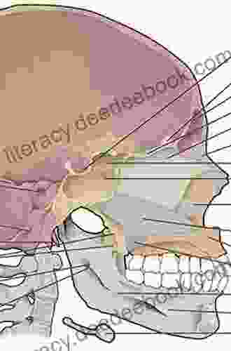 Midline Skull Base Surgery James Edward