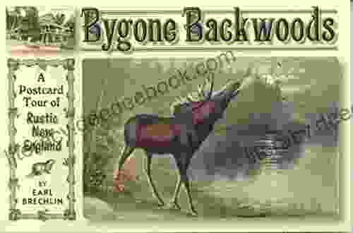 Bygone Backwoods Lisa Cooper